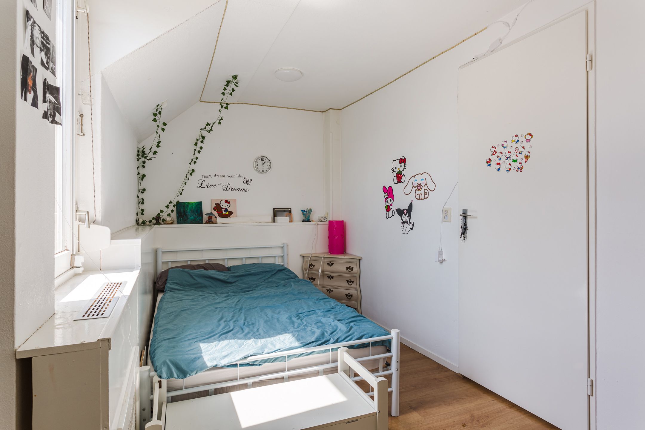 Foto 27 van Evieveld 1