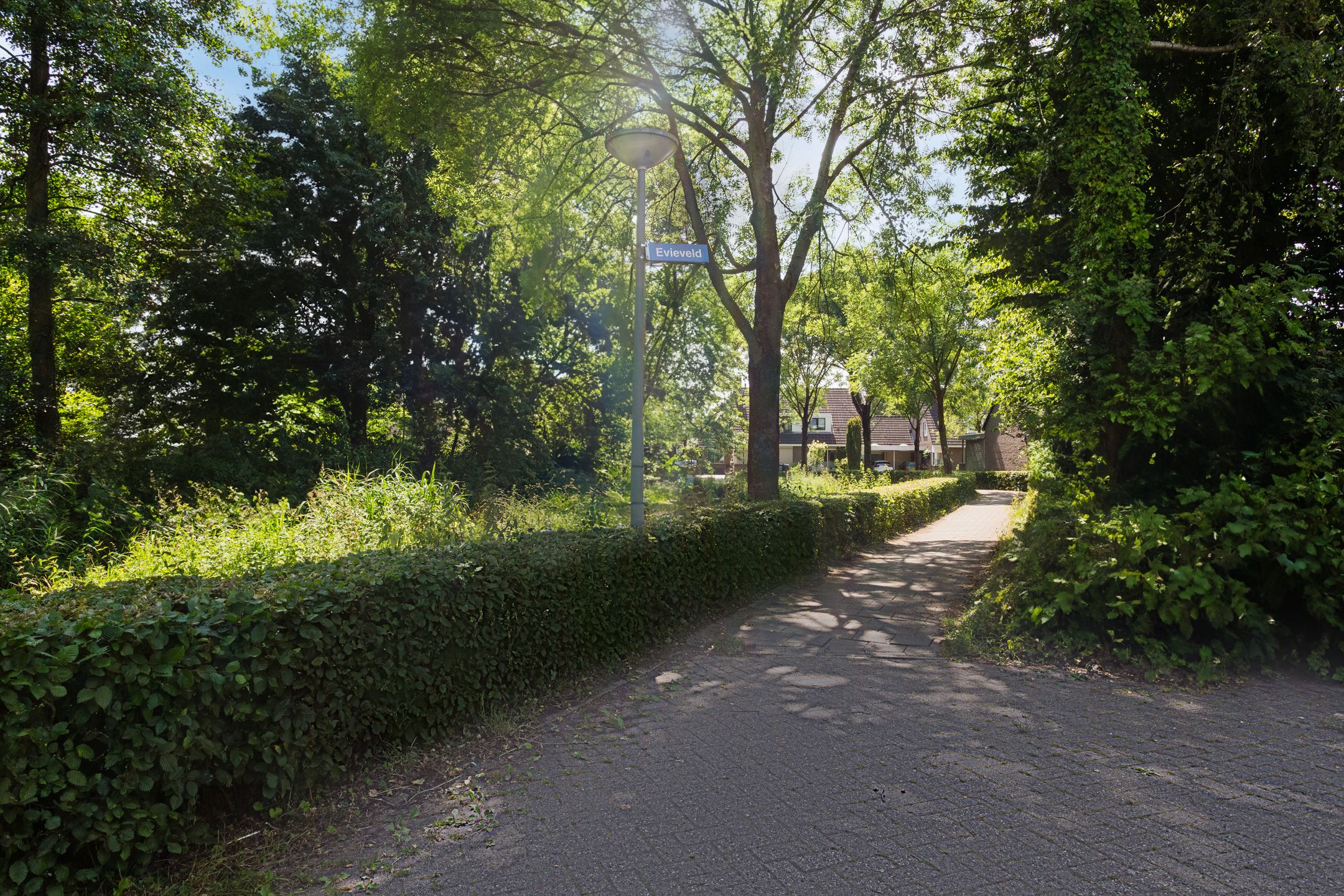 Foto 48 van Evieveld 1