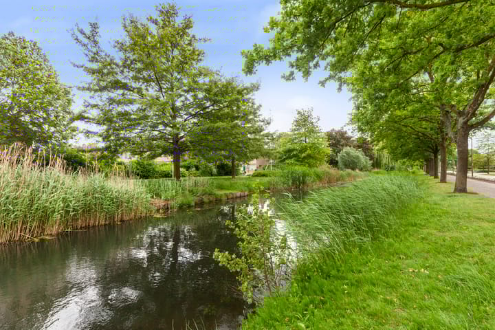 Foto 37 van Vondellaan 47