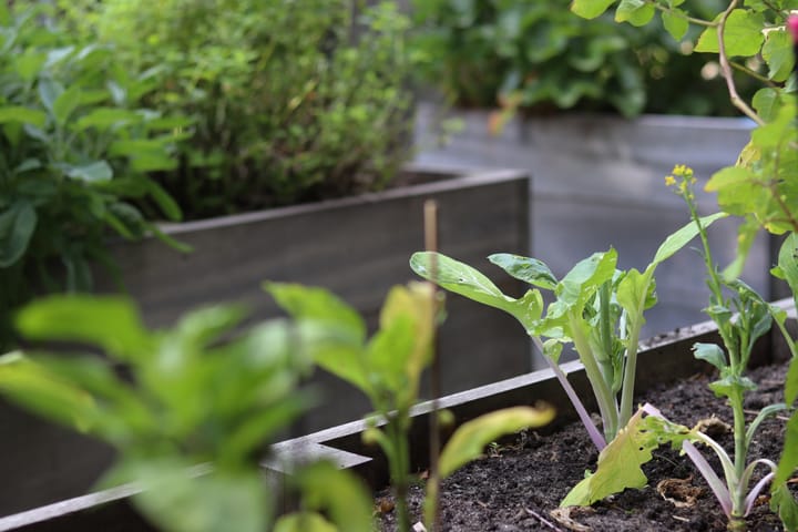 Foto 19 van Holleweg 100