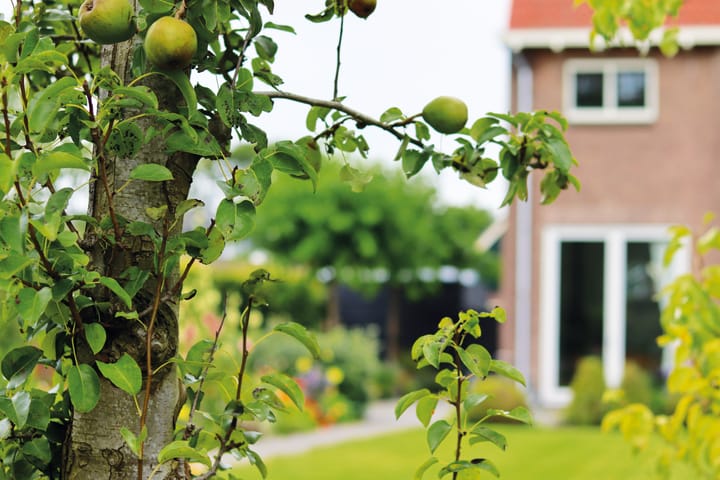 Foto 20 van Holleweg 100