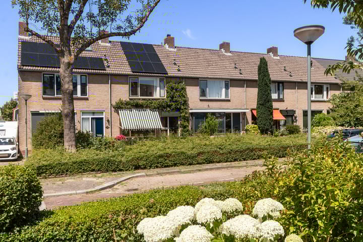 undefined main image
