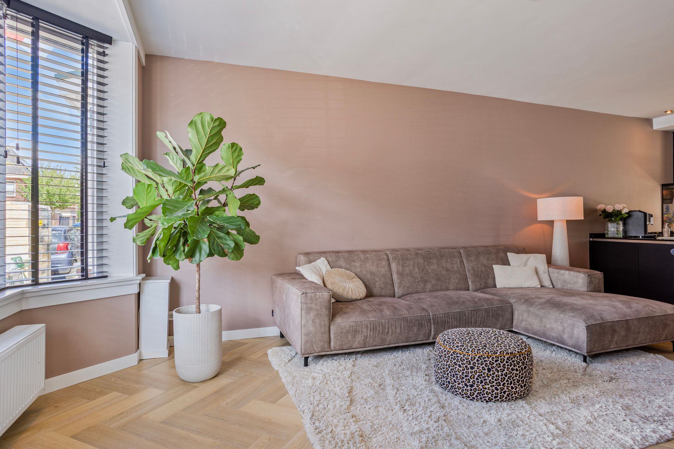 Foto 3 van Van Riebeekstraat 84