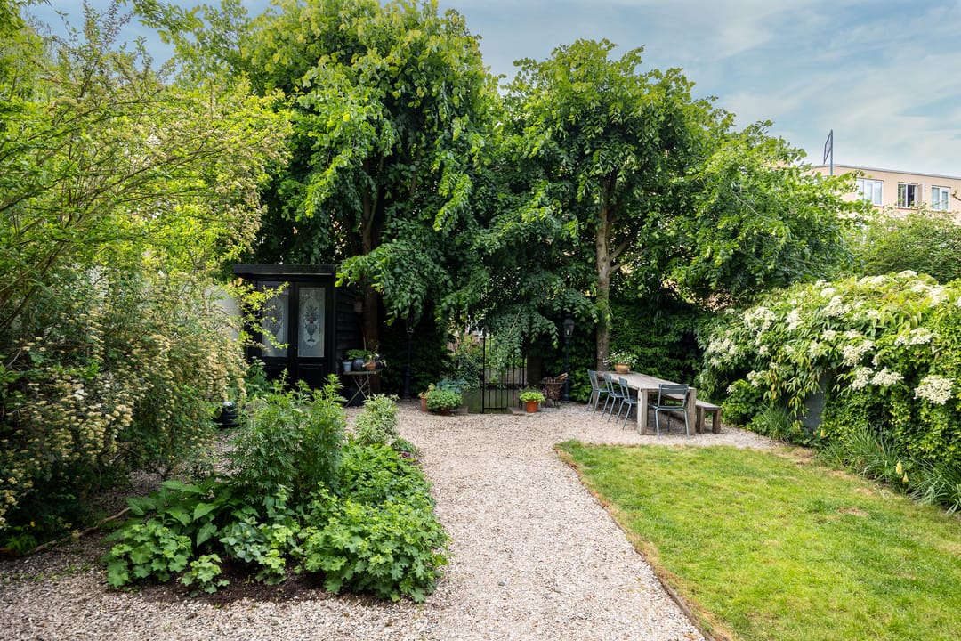 Foto 16 van F.C. Dondersstraat 24