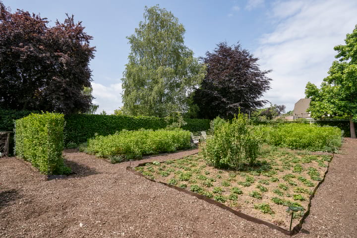 Photo 53 of Laageinde 92-B