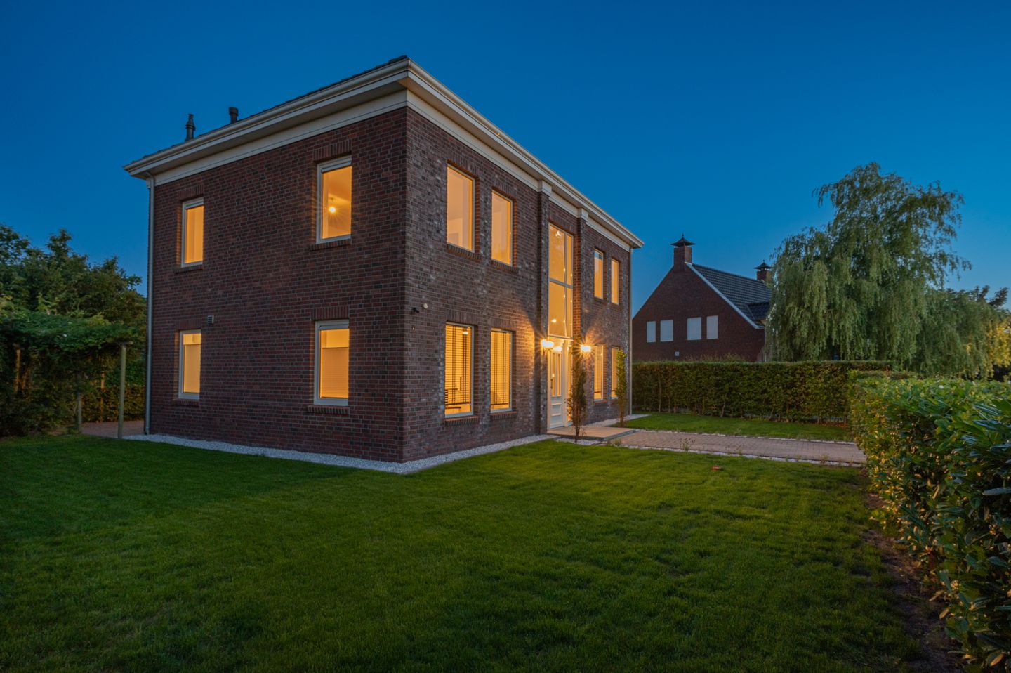 Photo 5 of Cantharel 26