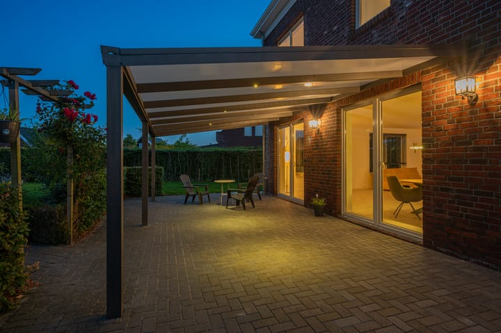 Photo 6 of Cantharel 26