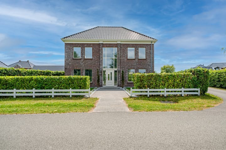 Photo 7 of Cantharel 26