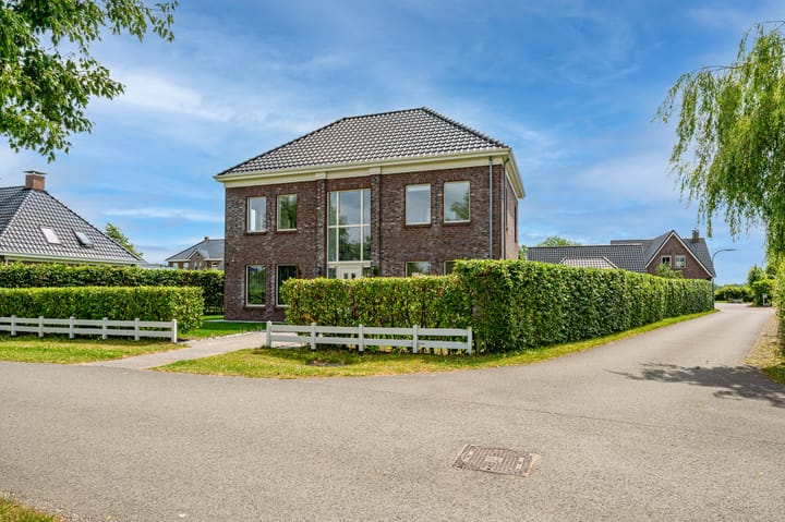 Photo 8 of Cantharel 26