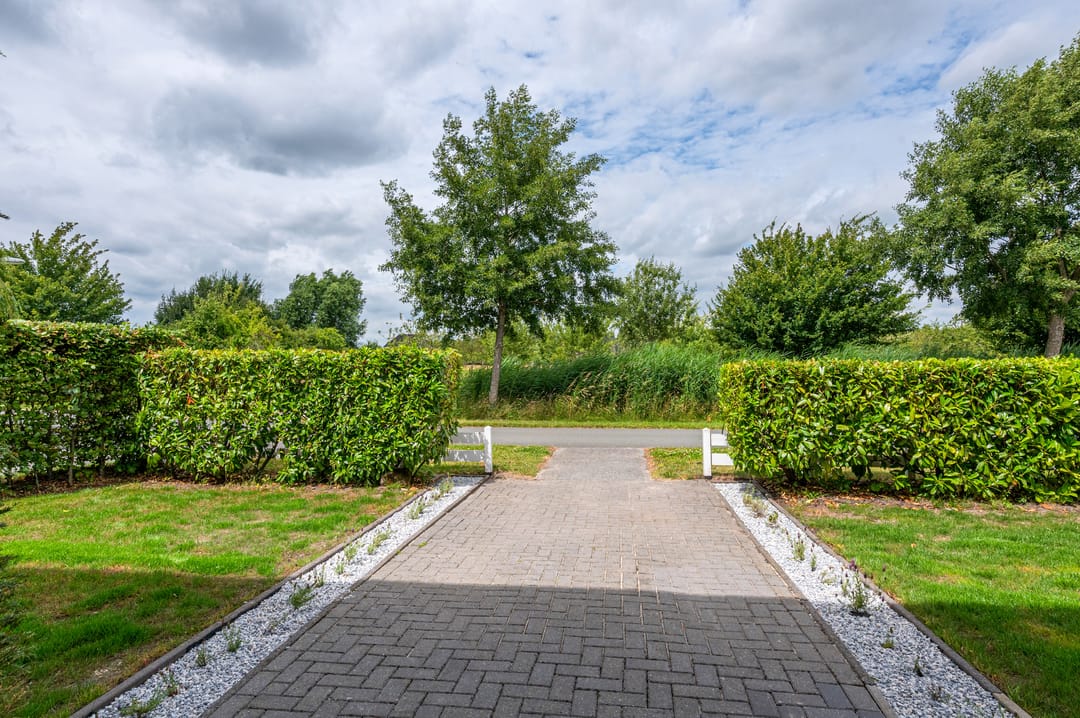 Photo 11 of Cantharel 26