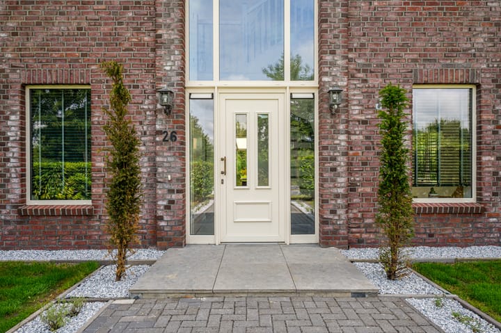 Photo 14 of Cantharel 26