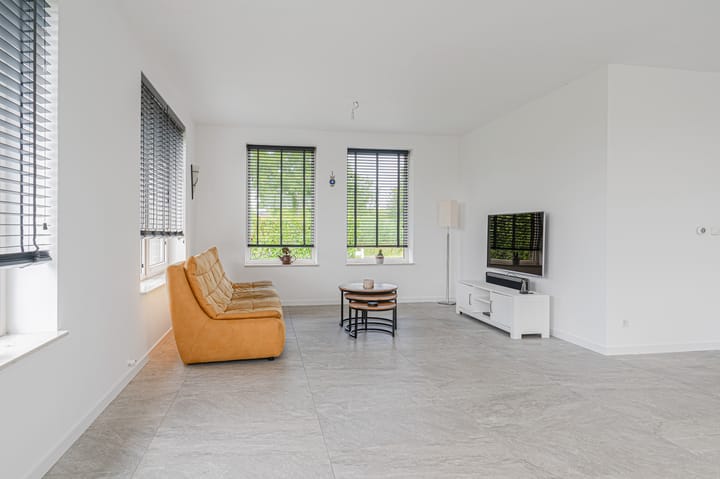 Photo 23 of Cantharel 26