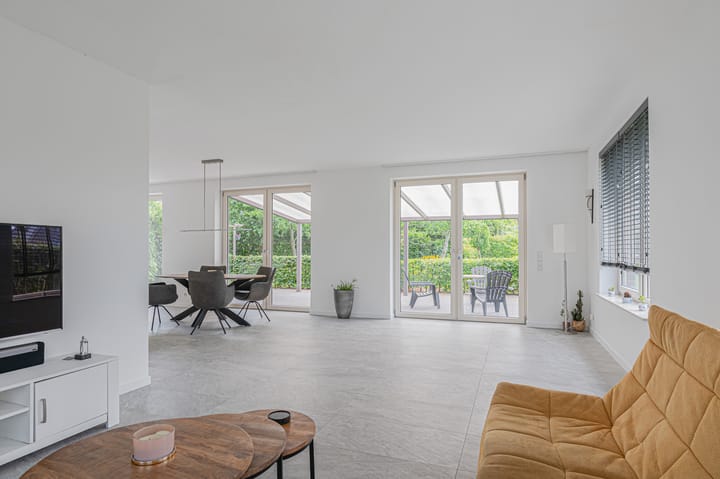 Photo 25 of Cantharel 26