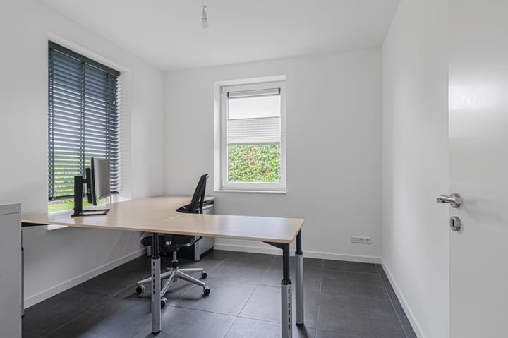 Photo 27 of Cantharel 26