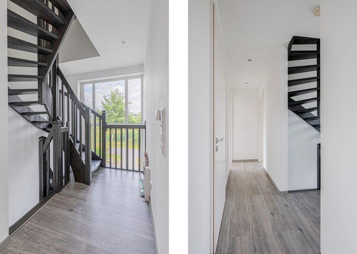 Photo 30 of Cantharel 26