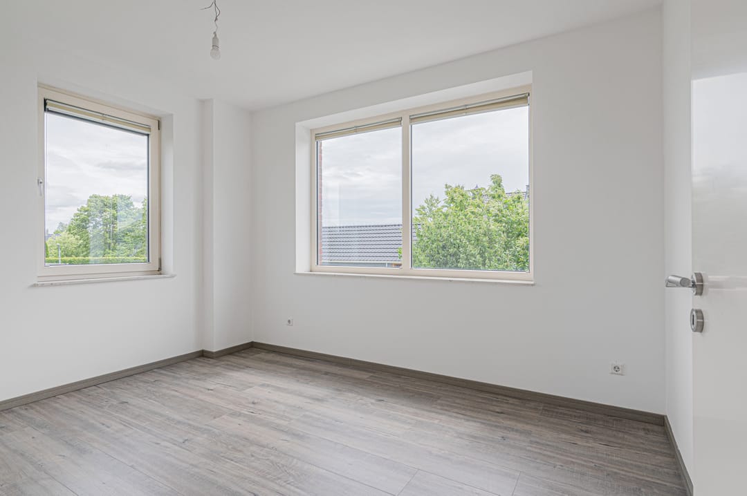 Photo 31 of Cantharel 26