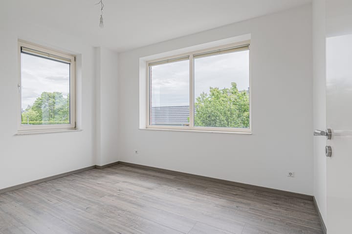 Photo 31 of Cantharel 26