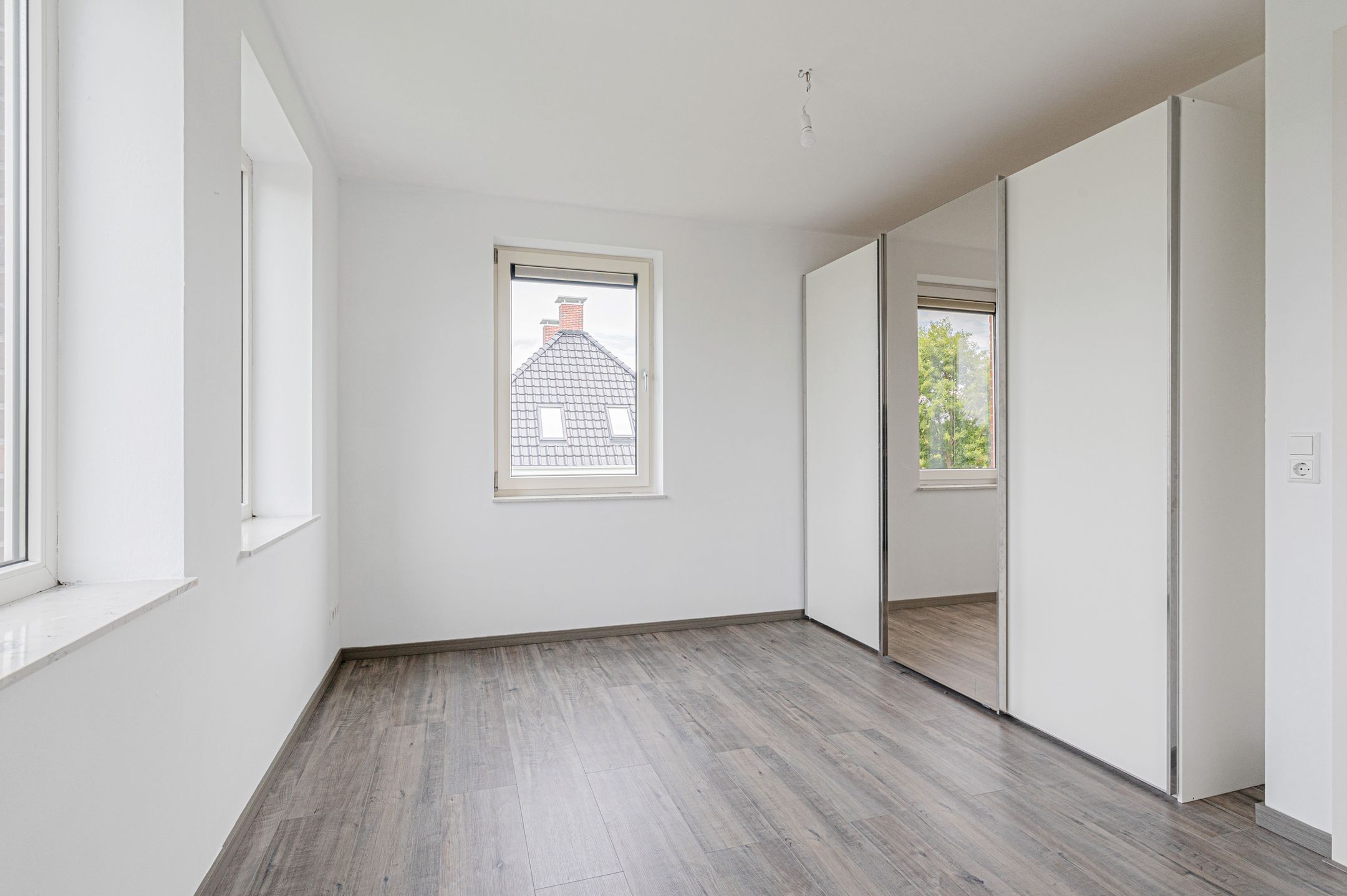 Photo 33 of Cantharel 26