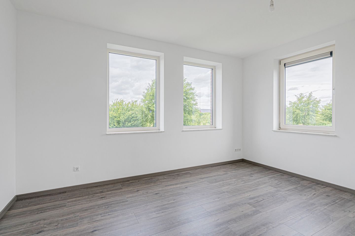 Photo 34 of Cantharel 26