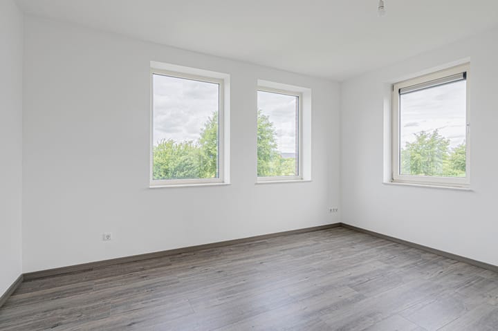 Photo 34 of Cantharel 26