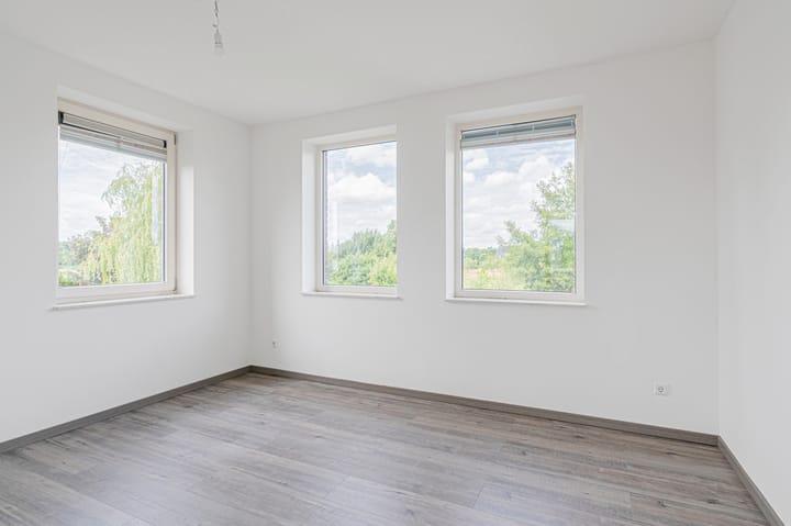 Photo 36 of Cantharel 26