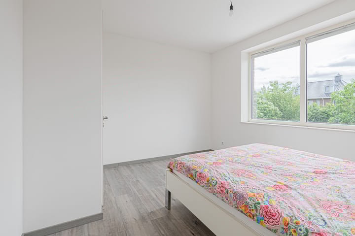 Photo 38 of Cantharel 26