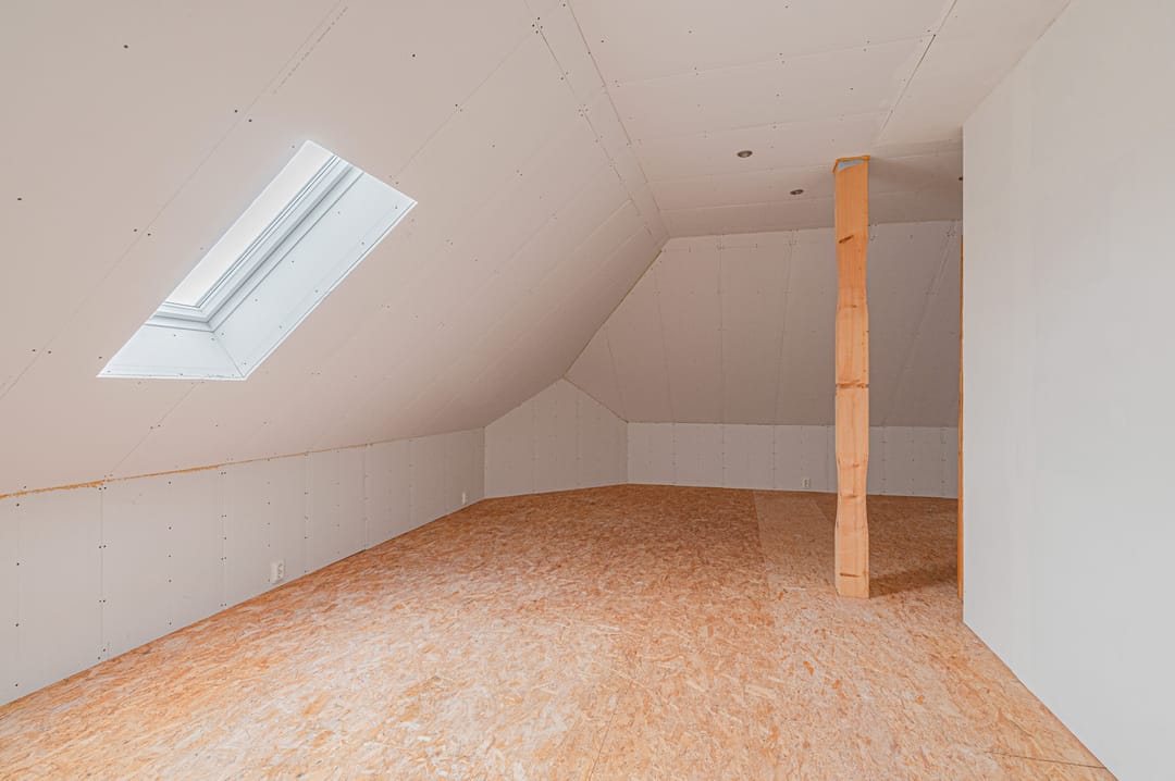 Photo 41 of Cantharel 26