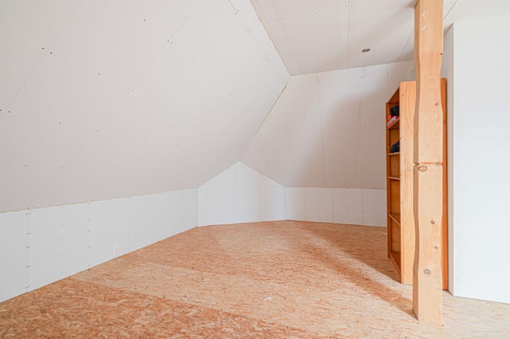 Photo 42 of Cantharel 26