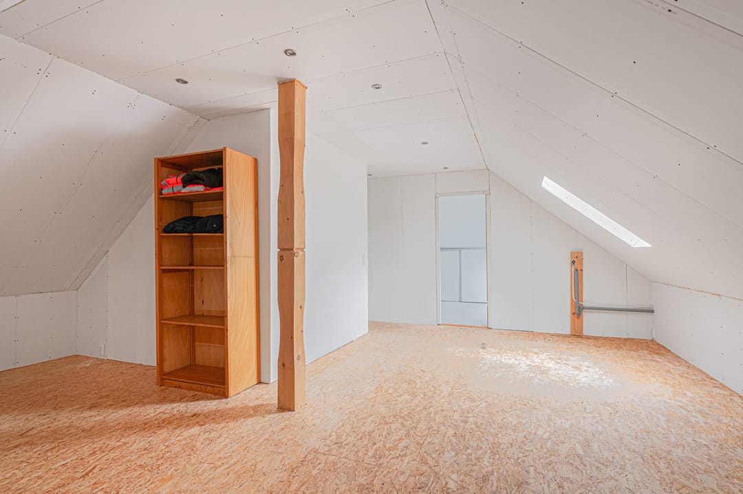 Photo 43 of Cantharel 26