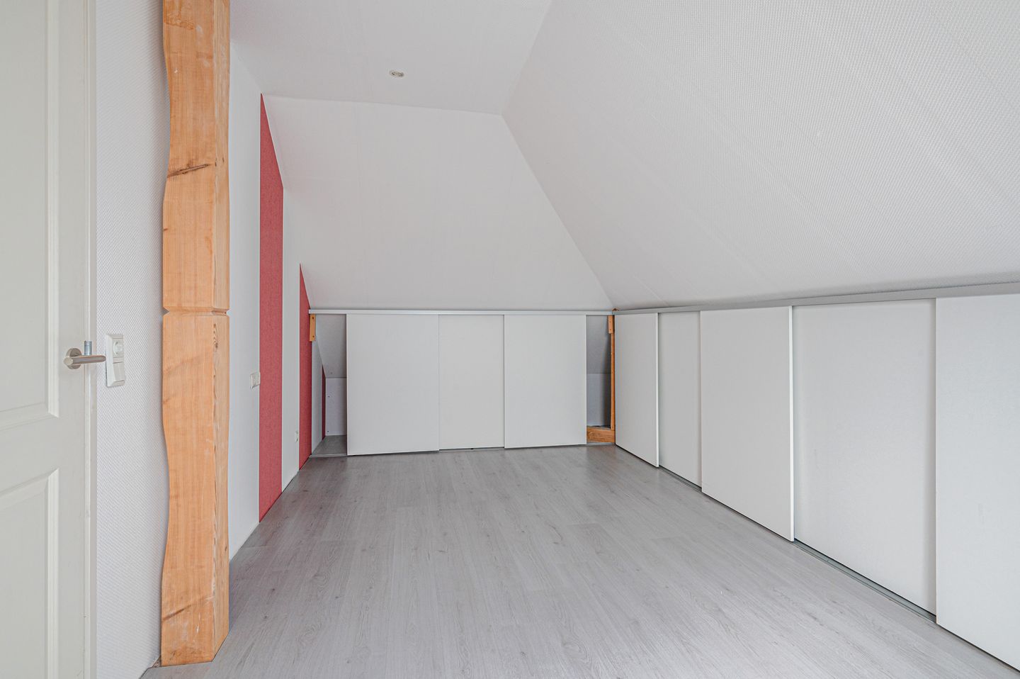 Photo 44 of Cantharel 26