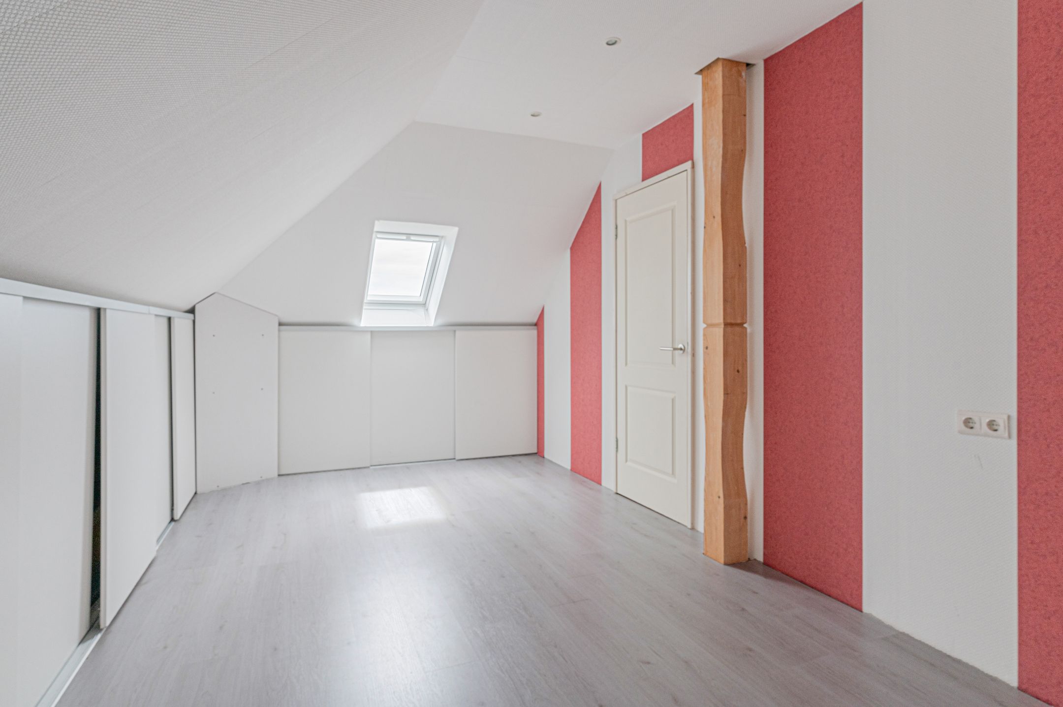 Photo 45 of Cantharel 26