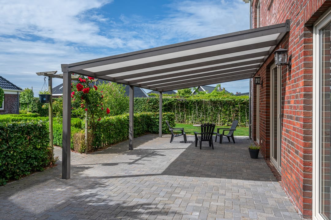 Photo 46 of Cantharel 26