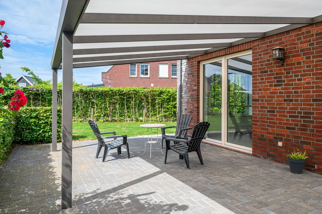 Photo 47 of Cantharel 26