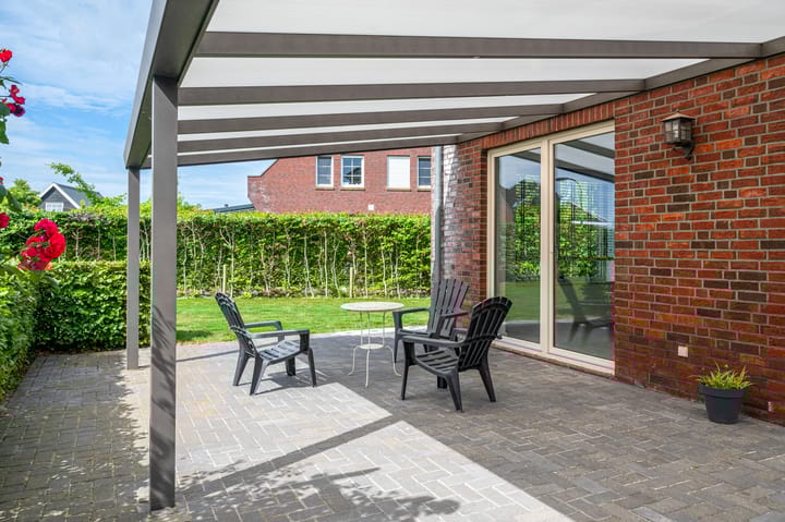 Photo 47 of Cantharel 26