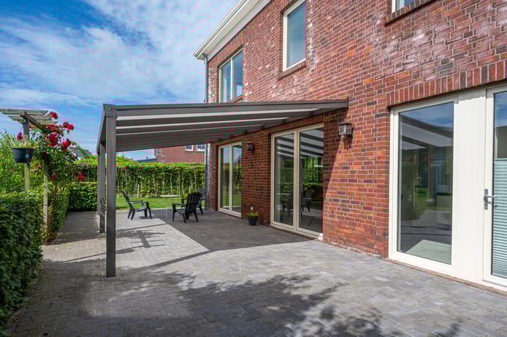 Photo 48 of Cantharel 26