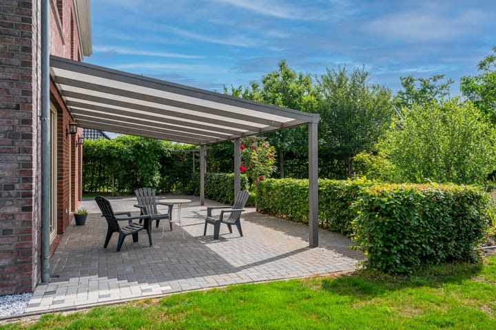 Photo 49 of Cantharel 26