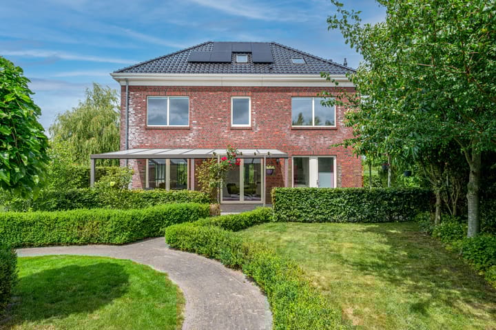 Photo 50 of Cantharel 26