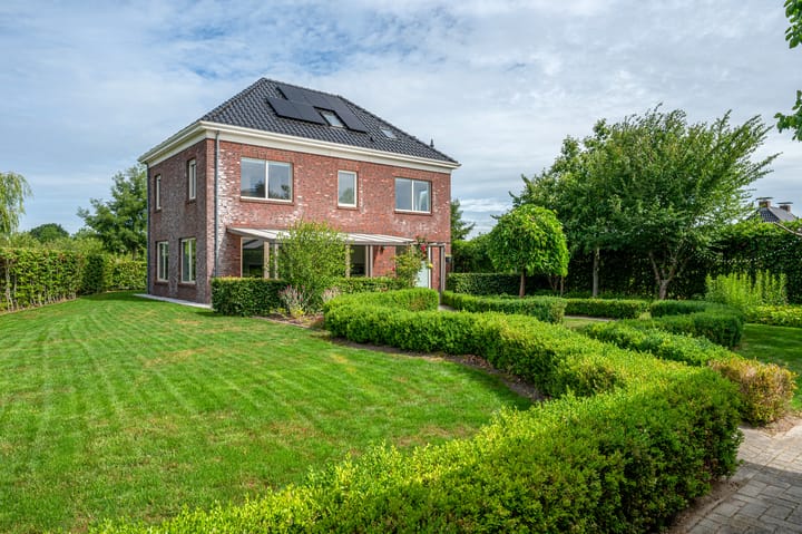 Photo 52 of Cantharel 26