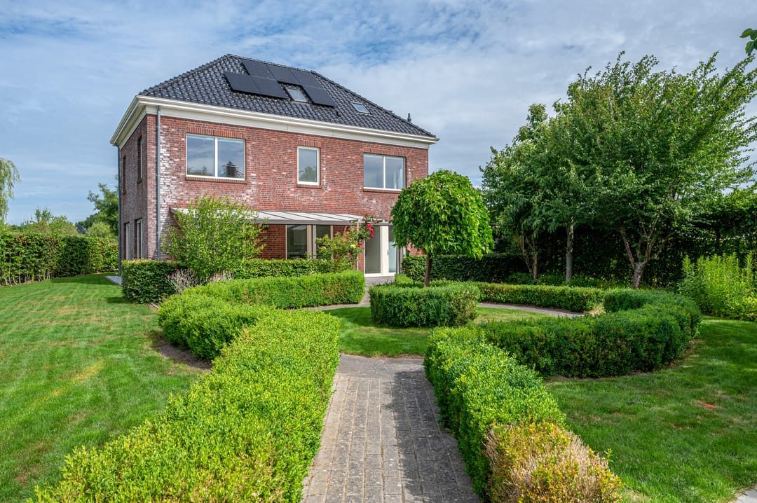 Photo 53 of Cantharel 26