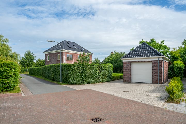 Photo 54 of Cantharel 26