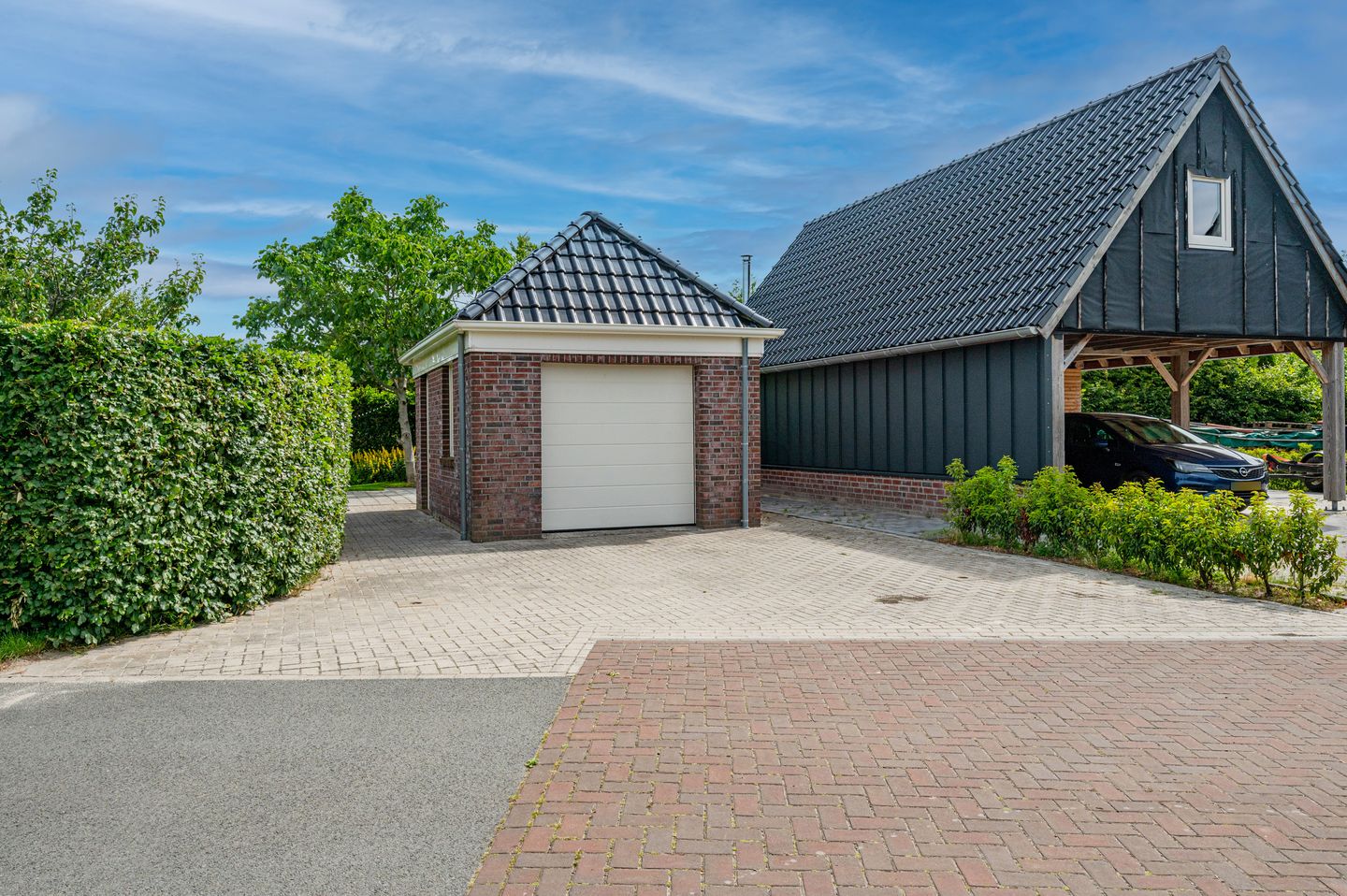 Photo 55 of Cantharel 26