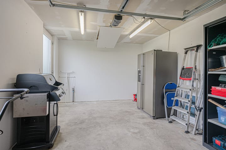 Photo 57 of Cantharel 26