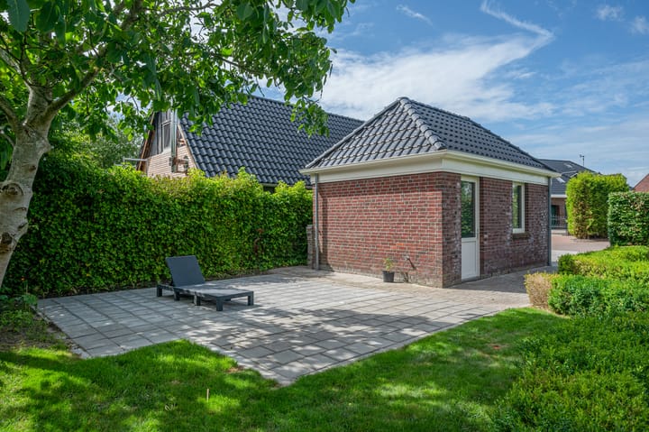 Photo 59 of Cantharel 26