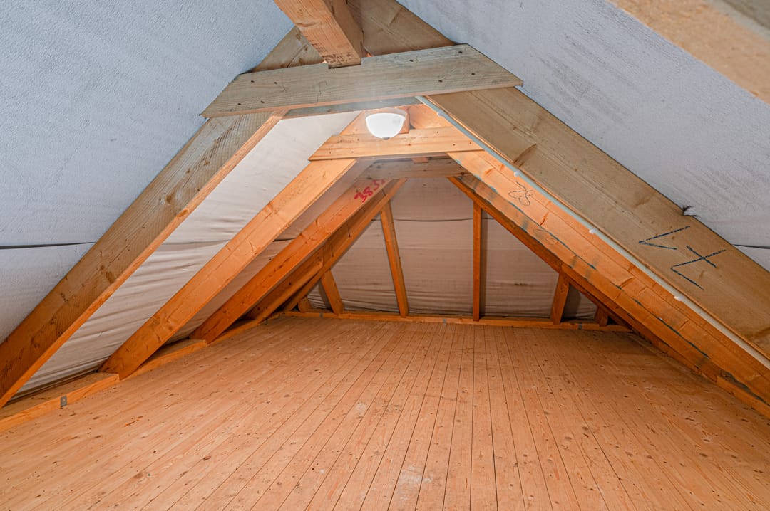 Photo 58 of Cantharel 26