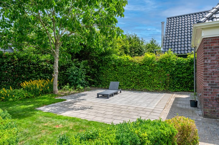 Photo 60 of Cantharel 26