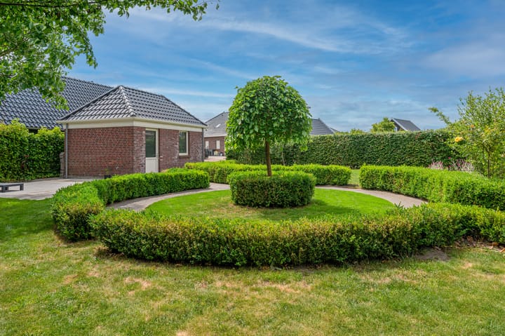 Photo 61 of Cantharel 26