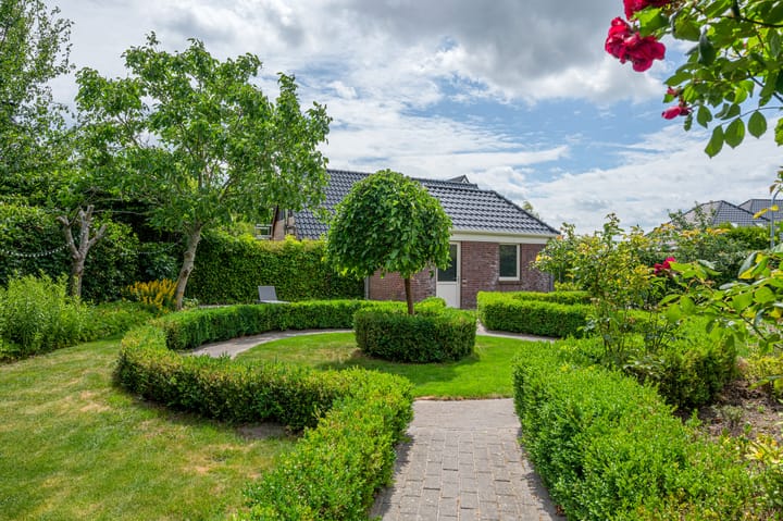 Photo 62 of Cantharel 26