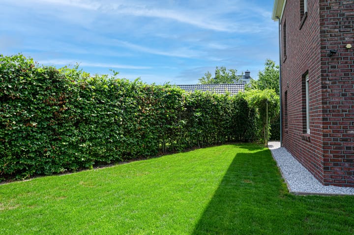 Photo 63 of Cantharel 26