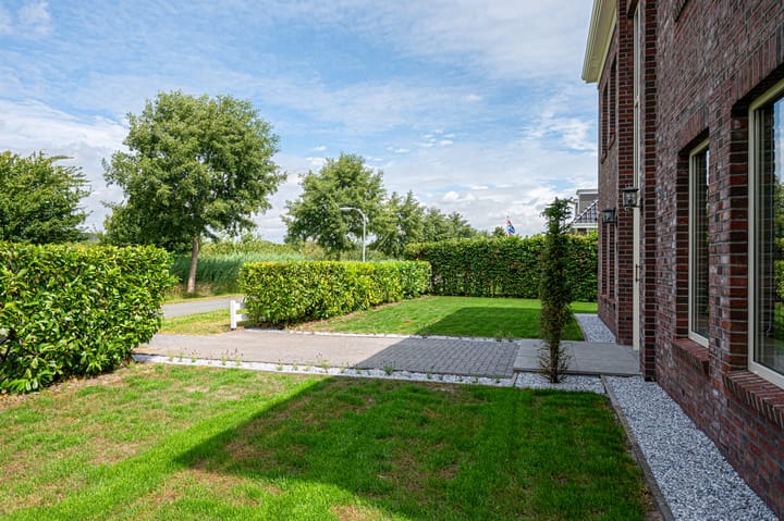 Photo 64 of Cantharel 26