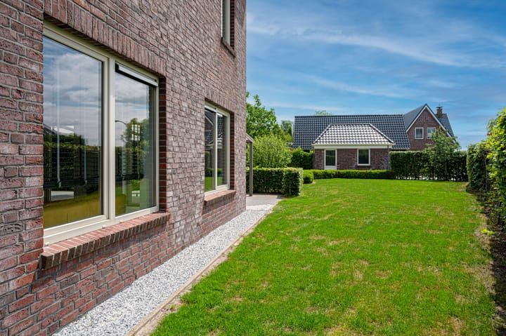 Photo 65 of Cantharel 26